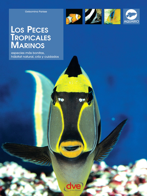 Title details for Los peces tropicales marinos by Gelsomina Parisse - Available